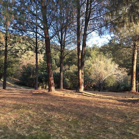 Foxtail Farm Bed & Breakfast Ponderosa Basin Luaran gambar