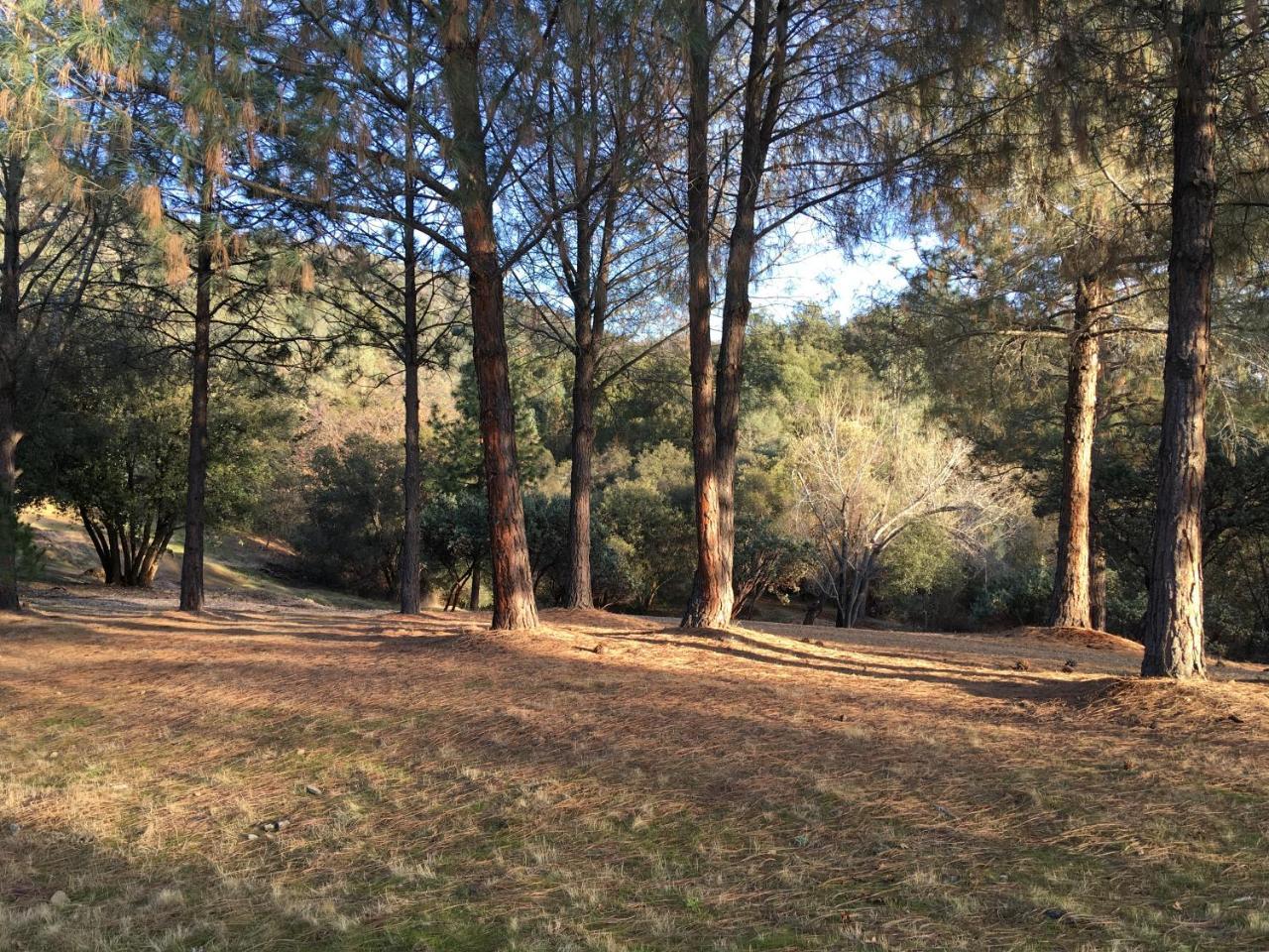 Foxtail Farm Bed & Breakfast Ponderosa Basin Luaran gambar